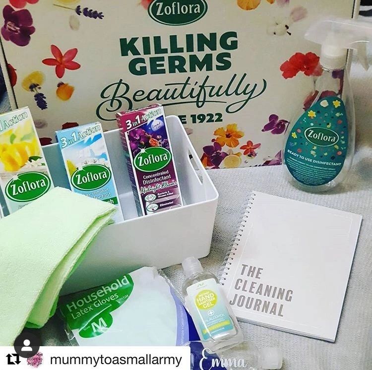 The Cleaning Journal & Zoflora